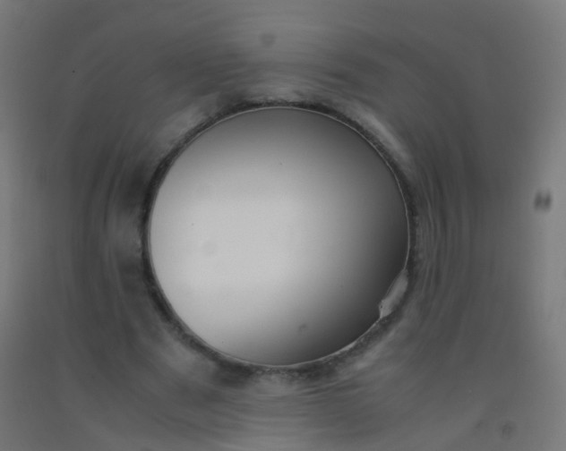 X0000092330489200709281429