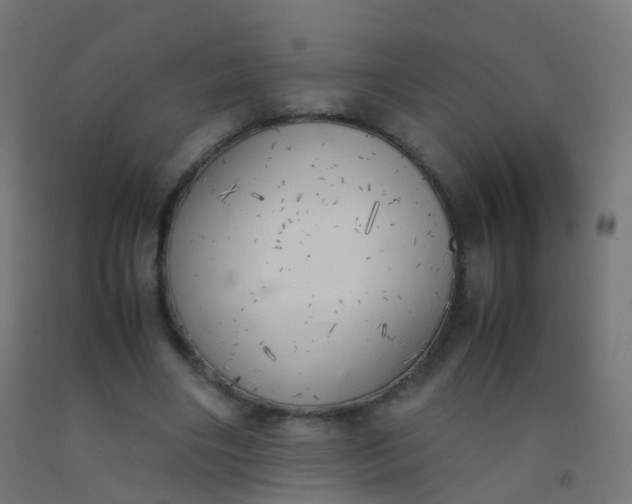 X0000092330490200709281429