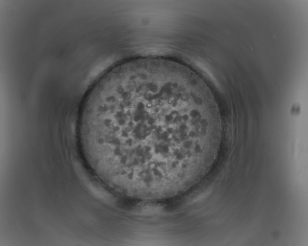 X0000092330491200709281429