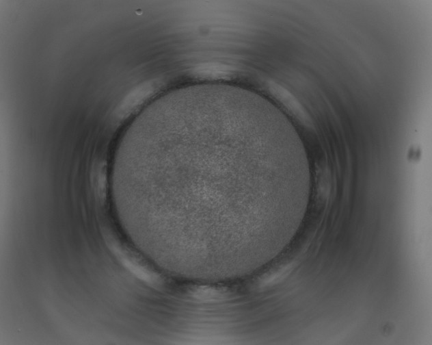 X0000092330494200709281429