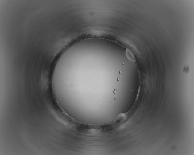 X0000092330496200709281429