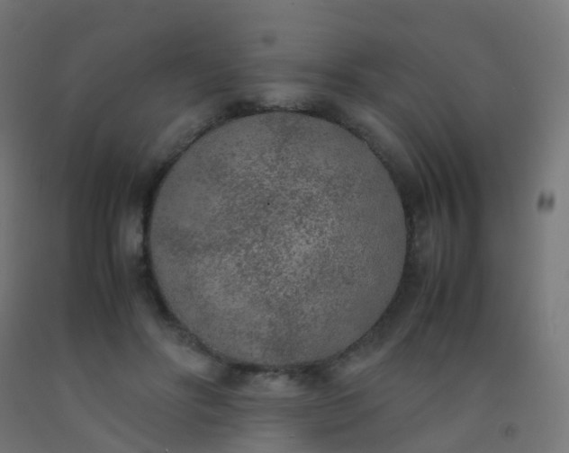 X0000092330502200709281429