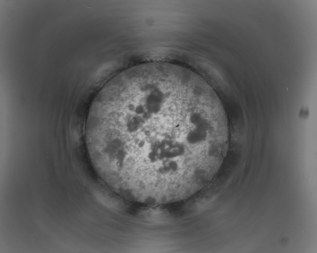X0000092330503200709281429