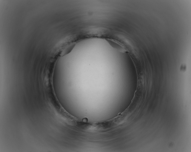X0000092330504200709281429