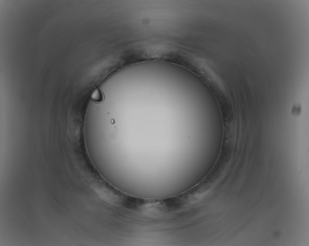 X0000092330505200709281429