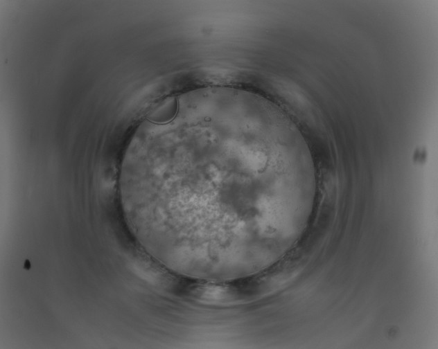 X0000092330507200709281429