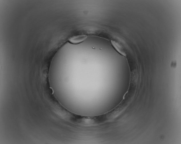 X0000092330509200709281429
