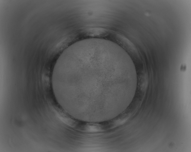 X0000092330510200709281429