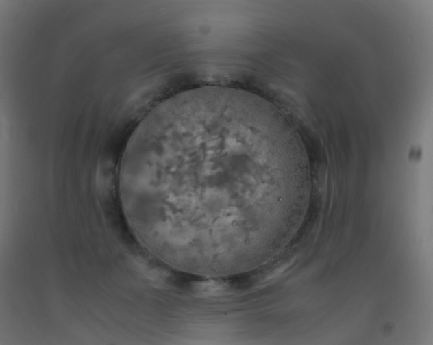 X0000092330511200709281429