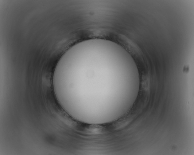 X0000092330514200709281429