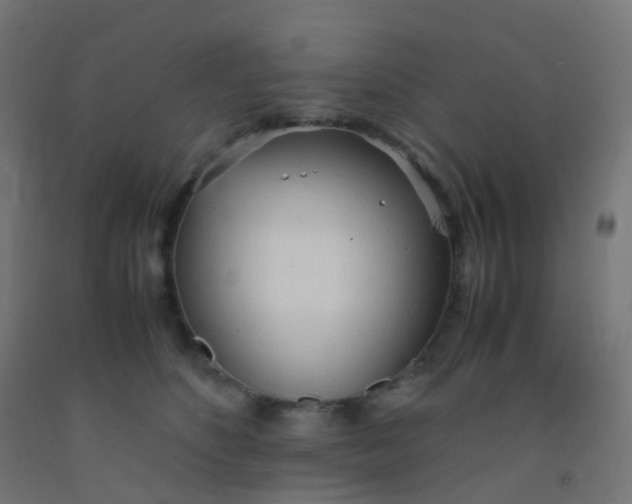 X0000092330516200709281429