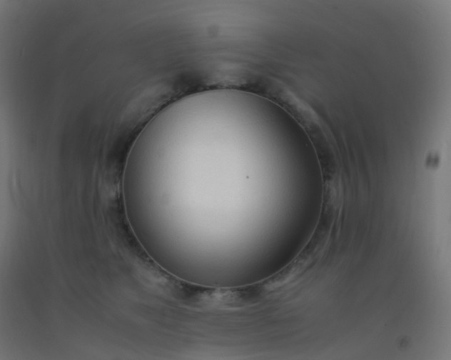 X0000092330517200709281429