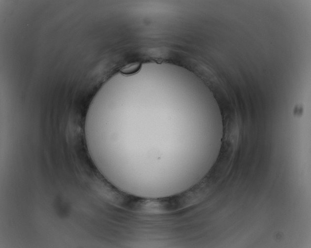 X0000092330518200709281429