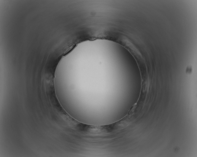 X0000092330521200709281429