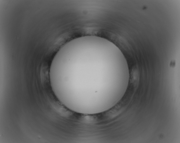 X0000092330522200709281429