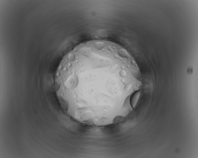 X0000092330523200709281429