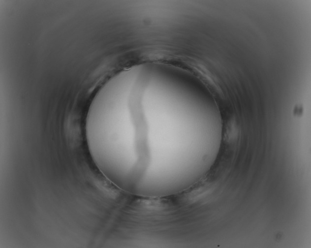 X0000092330524200709281429