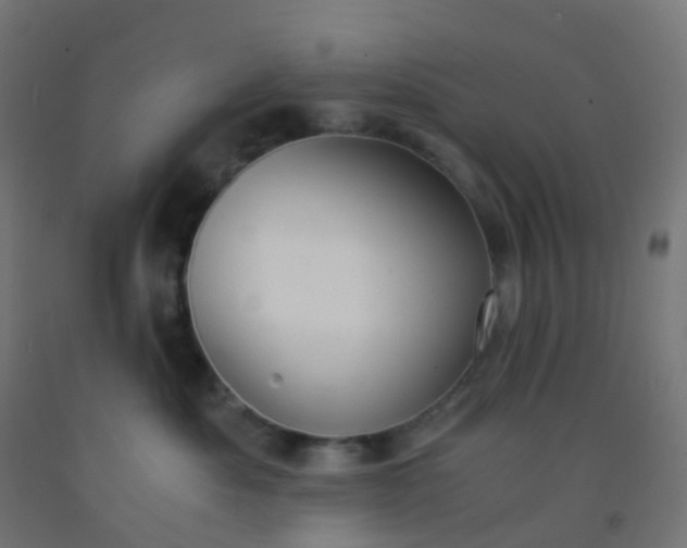 X0000092330525200709281429