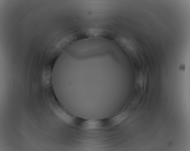 X0000092330526200709281429