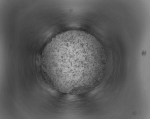 X0000092330528200709281428