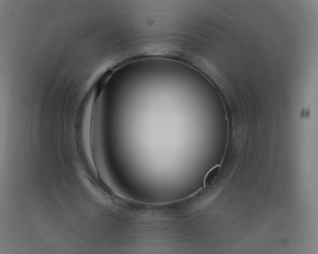 X0000092330530200709281428