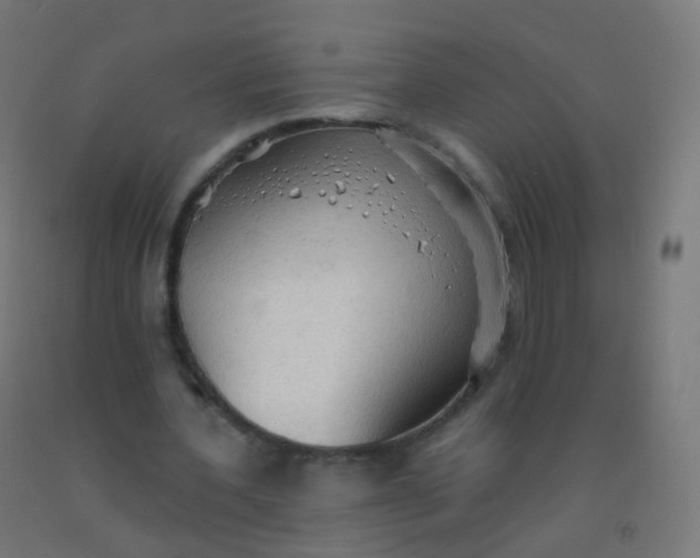 X0000092330532200709281428