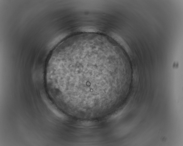 X0000092330533200709281428