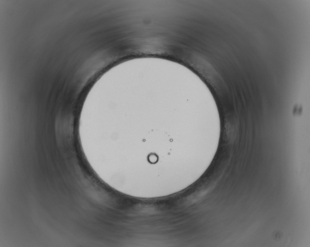 X0000092330534200709281428