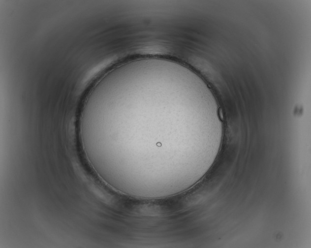 X0000092330535200709281428