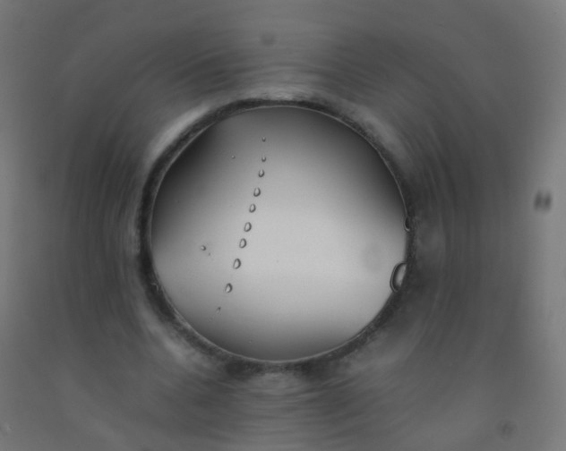 X0000092330536200709281428