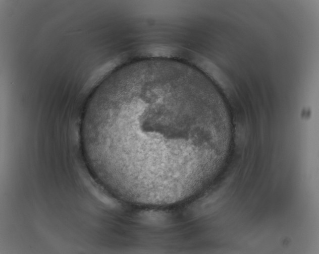 X0000092330537200709281428
