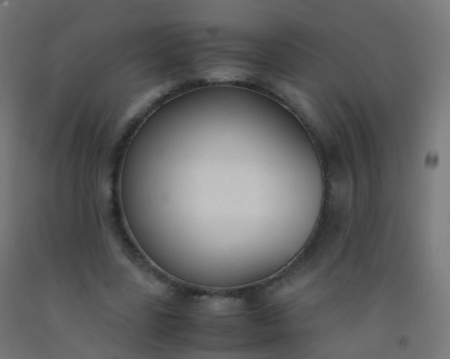 X0000092330539200709281428