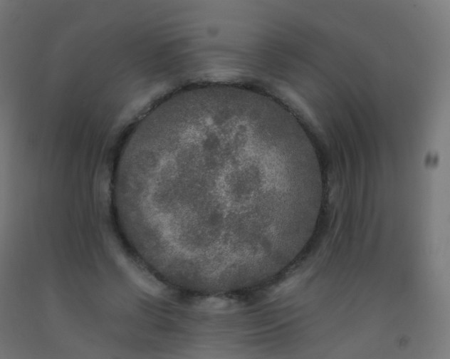 X0000092330542200709281428