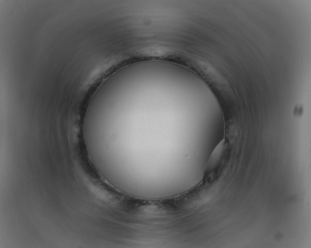 X0000092330544200709281428