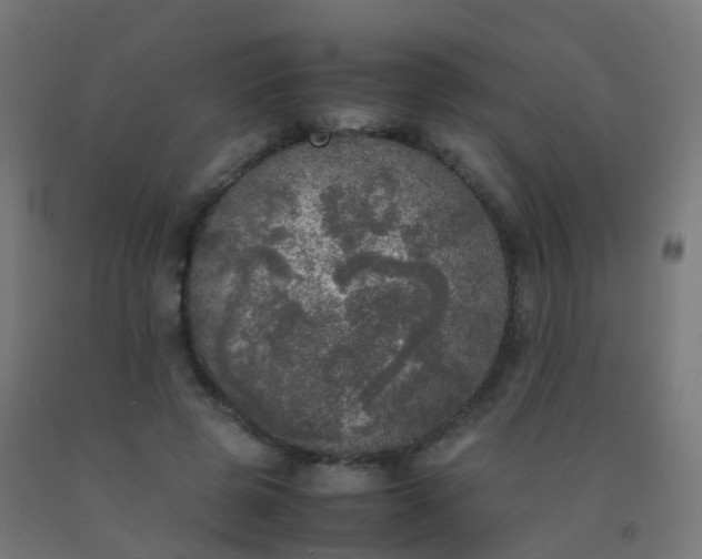 X0000092330545200709281428