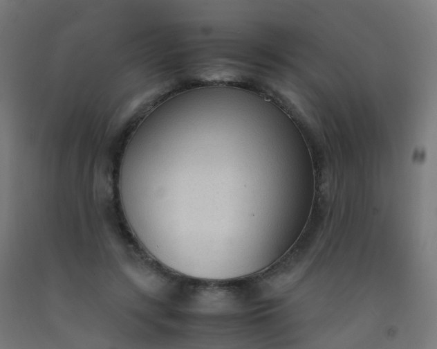 X0000092330547200709281428