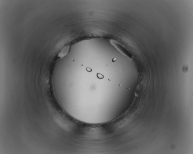 X0000092330548200709281428