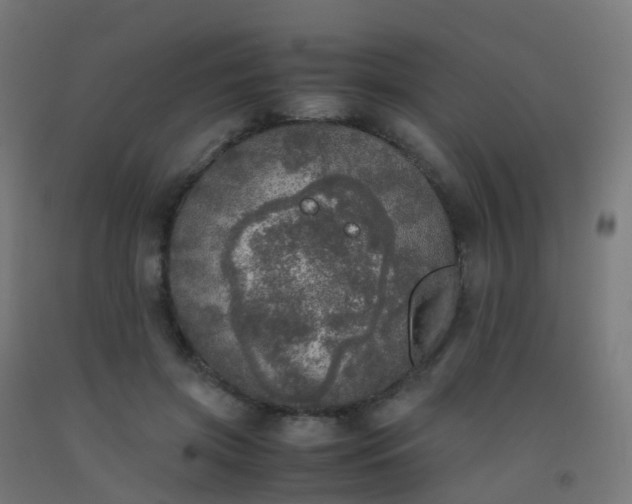 X0000092330549200709281428