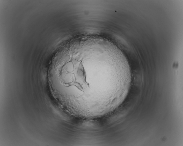 X0000092330550200709281428