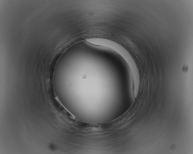 X0000092330552200709281428