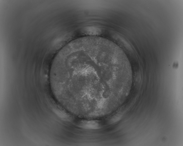 X0000092330553200709281428