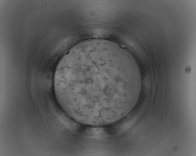 X0000092330554200709281428