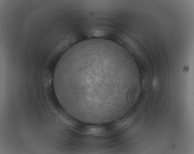 X0000092330555200709281428