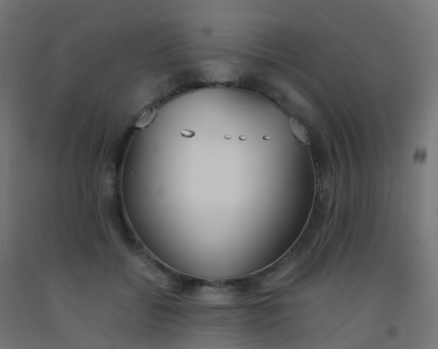 X0000092330556200709281428
