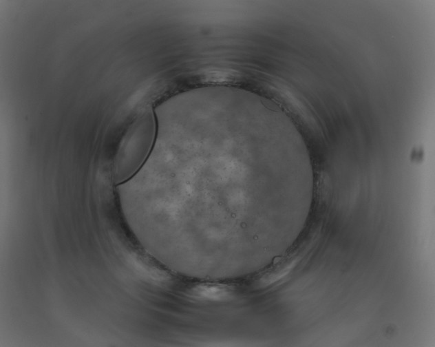 X0000092330557200709281428