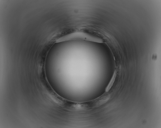 X0000092330558200709281428