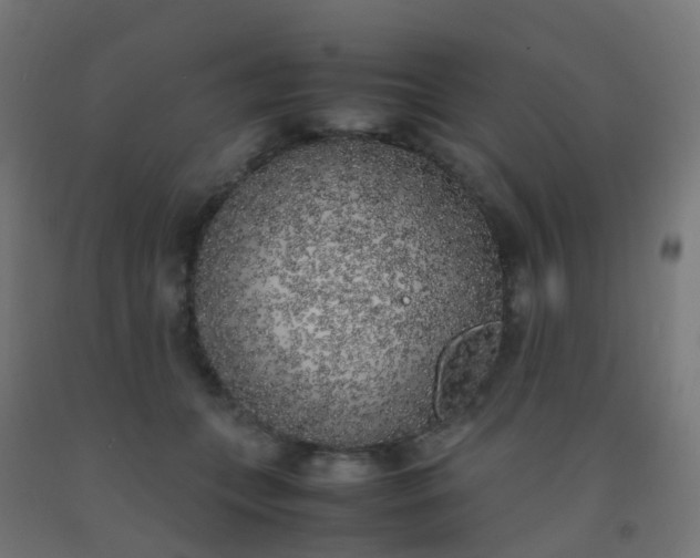 X0000092330559200709281428
