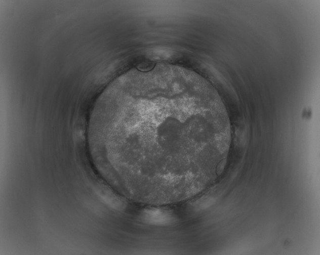 X0000092330561200709281428