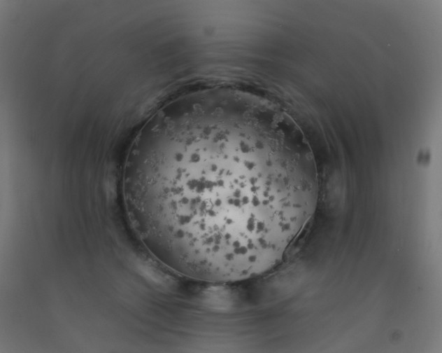 X0000092330562200709281428