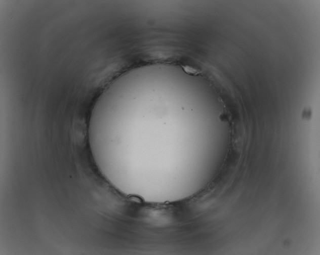 X0000092330563200709281428